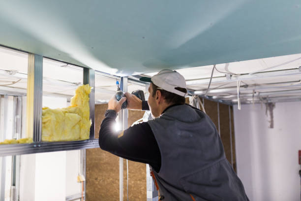 Best Blown-in Insulation in Berryville, TX