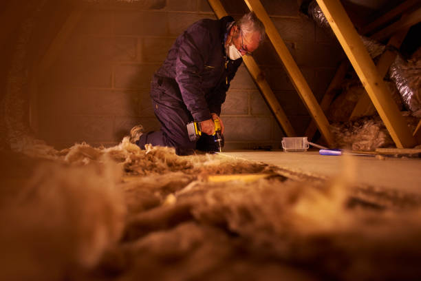 Best Insulation Maintenance and Repair in Berryville, TX